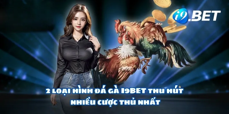 2 loại hình đá gà Hello88 thu hút nhiều cược thủ nhất